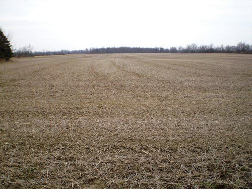 Property photo 1 - 160 Acres in 4 Tracts - Building Potential and Cropland